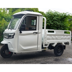 Entrepôt de Roumanie DDP EEC COC 3 roues <span class=keywords><strong>Cargo</strong></span> Bike Grand Space Trike Truck Tricycle électrique avec porte monobloc - Product Image 5