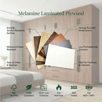 Panneau mural en contreplaqué mélaminé écologique 18 mm, panneau décoratif stratifié pour intérieur, qualité commerciale, prix direct usine