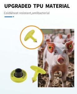 Nueva Etiqueta de oreja de animal RFID resistente al agua 134,2 kHz para identificación y seguimiento de cerdos, novedad de 2017 - Product Image 4