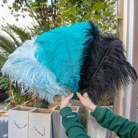 Plumes d'autruche en gros, grandes plumes roses et blanches pour centres de table de mariage, fêtes, carnaval, décoration de la maison