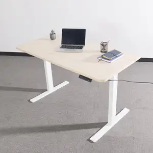 ODM&OEM Ergonomic Motorized Stand Sit Lifting Height Adjustable Electric Desk With Daul Motor for Home Office