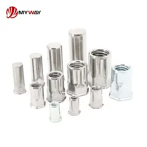 M3 M4 M5 M6 M8 M10 M12 Flat Reduced Head Stainless Steel Carbon Steel Blind Rivet Nut