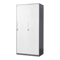 Casier de rangement en acier à 2 portes, durable et classique, pour vêtements de travail, idéal pour le lieu de travail, l'atelier, la salle de sport, l'appartement