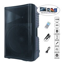 Ensemble de karaoké sans fil professionnel 500W avec haut-parleur 15 pouces, système audio DJ/PA, micro TWS, télécommande et écho