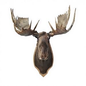 Un lieu pour le meurtre, 2e de la série John Putnam Thatcher par Simply Media - Product Image 1