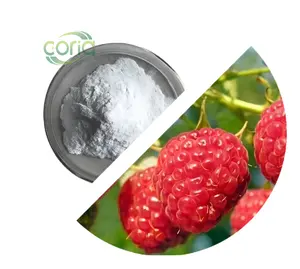 Raspberry chiết xuất từ quả cung cấp tự nhiên 99% Raspberry Ketone viên nang thực phẩm bổ sung Ketone mâm xôi