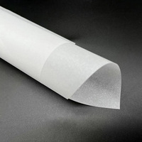 Papel de Calco Transparente Biodegradable y Reciclable para Manualidades A4, 55, 75, 95, 115, 180 Gsm, Precio de Fábrica