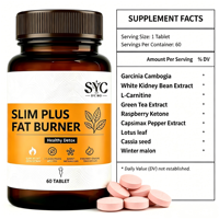 OEM, vente en gros, comprimés brûleurs de graisse naturels à base de plantes Slim Plus, 60 pièces, soutien métabolique et détoxification saine pour adultes