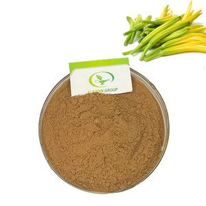 Estratto di Giglio del Giorno in Polvere HALAL 5:1 10% Flavonoidi, Liofilizzato, Senza Solventi per Alimenti e Integratori Alimentari - Product Image 2