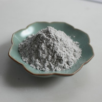 Poudre d'alumine nano résistante à l'usure à haute température AL2O3 poudre conductrice de chaleur réactive de peinture d'oxyde d'aluminium
