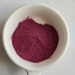 LongSheng Top Quality Orgânico Natural Em Pó 25% Antocianinas Açaí <span class=keywords><strong>Berry</strong></span> Extrato Em Pó - Product Image 3