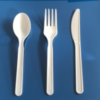Set Sendok Garpu Pisau Plastik CPLA Biodegradable Ramah Lingkungan Modern Sekali Pakai untuk Pesta & Pernikahan
