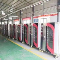 Four à Convection Professionnel Modulaire pour Pâtisserie et Boulangerie Industrielle avec Commandes Numériques, Nettoyage à l'Eau, le Plus Économique