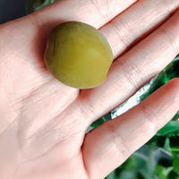 Jiaying Zi Bagged Jia Ying Zi Groene Pruimen Knapperig Zoete Smaak Verfrissende Pruimen Casual Geconserveerde Fruit Snacks HACCP Gecertificeerd