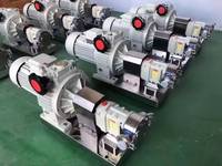 Pompa Rotor Sanitasi Miniatur SINDA Seri 3RP Kelas Makanan Viskositas Tinggi Tekanan Tinggi Pompa Lobe Putar 100% Kawat Tembaga
