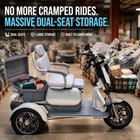 Tricycle électrique homologué EEC DOT SWEX3 pour 2 passagers avec coffre verrouillable et panier avant, scooter de mobilité