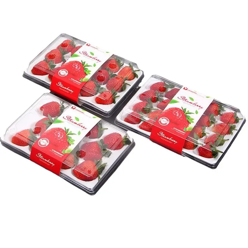 Caixa de embalagem de morango fresco com tampa de bandeja interna Recipiente de plástico PET reciclável para frutas e morangos