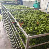 Hete verkoop Alfalfa hooi droogmachine Gerst voedergras droogmachine Palm moerbeiblad droogapparatuur