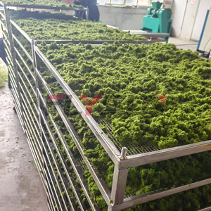 Máquina Secadora de Heno de Alfalfa en Oferta, Máquina para Secar Cebada y Forraje, Equipo para Secar Hojas de Palma y Morera - Product Image 3