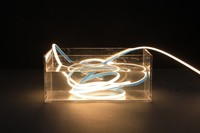 Tira de LED de Silicona Tipo D con Doble Capa de Recubrimiento, Alto CRI 80, 7.5mm/13mm, IP67 Impermeable, DC12V, Garantía de 2 Años, Regulable