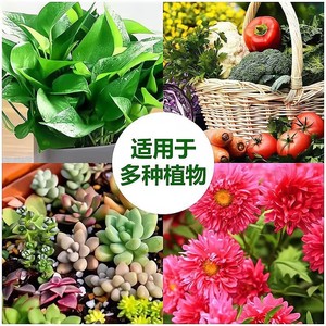 Solución concentrada de nutrientes vegetales, 500ml, universal para flores, suculentas, árboles de dinero, fertilizante de jardín Pothos - Product Image 3