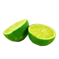 Exportation de citron sans graines/citron vert sans pépins à prix compétitif du Viet Nam pour l'exportation 2023 VIETNAM AGRICULTURE Marque
