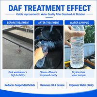 Système de flottation à air dissous (DAF) en acier inoxydable de haute qualité avec pompe à pression et PLC pour le traitement des eaux usées