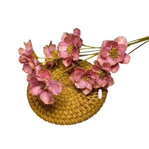 Venta al por mayor de flores secas naturales de <span class=keywords><strong>Campanula</strong></span> plantas de madera hechas a mano para la decoración del hogar y aromaterapia para graduación y Pascua - Product Image 5