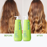 Set de Cuidado Capilar Orgánico de Marca Blanca para Cabello Graso con Menta Refrescante, Calmante para el Cuero Cabelludo, Anticaspa, Antifrizz, Aceite de Árbol de Té y Ácido Salicílico