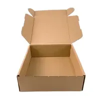 Cajas de Envío de Cartón Corrugado de 10x10x2 Pulgadas, Listas para Enviar, con Diseño en Relieve de 2 mm de Grosor, Materiales Reciclados
