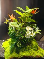 Mousse artificielle verte en plastique haut de gamme, fausse verdure pour aménagement paysager, terrariums, accessoires décoratifs pour photos, ornements