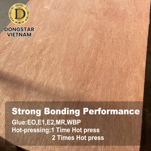 Panneau de contreplaqué Bintangor 4x8 pieds avec options de noyau en bois dur d'acacia blanc - Product Image 4