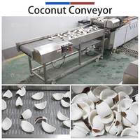 Ligne de production de noix de coco personnalisée, machine à décortiquer, peler, couper et nettoyer les noix de coco, machine à laver la chair de noix de coco
