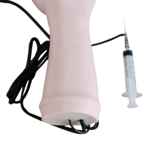 ADA Medical Science Electronic IV Training Hand et coussin d'entraînement multifonctionnel à injection intramusculaire pour l'enseignement - Product Image 4