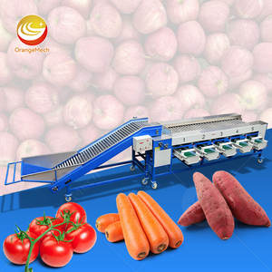 Machine de tri et de calibrage de fruits et légumes ORME, machine à laver et à calibrer les pommes, prix - Product Image 1