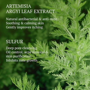 สบู่ก้อนคอร์เมซิค ผลิตภัณฑ์สั่งทำพิเศษ (OEM) 100 กรัม สบู่อาร์เทมิเซียแอนนัว ช่วยลดแบคทีเรียและไรฝุ่น ทำความสะอาด ผิวขาวกระจ่างใส สบู่ธรรมชาติสำหรับอาบน้ำ - Product Image 3