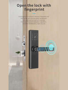 Cerradura Inteligente Wi-Fi con Seguridad por Aplicación Tuya OEM/ODM, Serie 5050, Cerradura de Embutir con Huella Dactilar y Contraseña para Puertas de Aluminio, Uso Doméstico en la Nube, S1-1T - Product Image 4