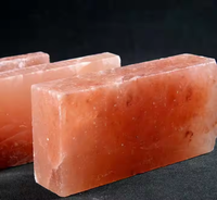 Briques de sel rose de l'Himalaya naturel, carreaux de sel de l'Himalaya, vente en gros de carreaux de sel de l'Himalaya, gros blocs de sel de l'Himalaya pour la cuisson au barbecue