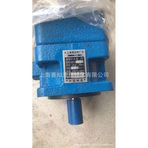 YB1-10 Componentes Hidráulicos de Shanghái, Variedad de Tamaños 2.5-63, Categoría de Producto: Bombas Hidráulicas - Product Image 5