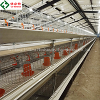 Cages à poulets automatiques de type H pour poulets de chair, équipement avicole automatique pour ferme avicole au Kenya