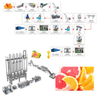 Geavanceerde, eenvoudig te bedienen, zeer efficiënte, industriële, volautomatische citrusvruchtensapverwerkingslijn en vulmachine