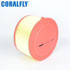 Filtro de Aire para Auto, Piezas de Motor, AB399601AB A25003 SA8296 AF27723, para Ford - Product Image 3