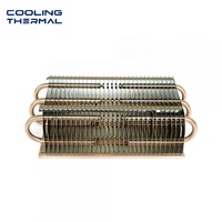 Profils de dissipateur thermique personnalisés avec caloducs en aluminium extrudé anodisé, usinage CNC pour le refroidissement des boîtiers de modules d'alimentation