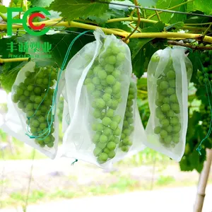 <span class=keywords><strong>Filet</strong></span> <span class=keywords><strong>anti</strong></span>-insectes en nylon transparent, sac de protection pour fruits, <span class=keywords><strong>filet</strong></span> de protection en maille - Product Image 1