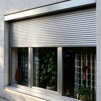 Portes Roulantes Électriques en Verre Modernes pour Bâtiments Commerciaux et Hôtels, Surface Finie, Résistantes au Vent et aux Vols
