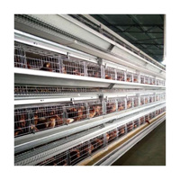 Nouveau système automatique de cages en acier pour poules pondeuses à batterie en structure en H Tianrui pour ferme avicole, Fournisseur Chine