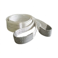 Sangle de levage robuste personnalisée pour grue, double brin, configuration œil-à-œil, en PE, capacité 2 tonnes