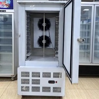 Congélateur-plaque intégré en acier inoxydable AISI 304 avec refroidissement par ventilateur à air forcé, 10 niveaux de rayonnages, -40°C, vente en gros