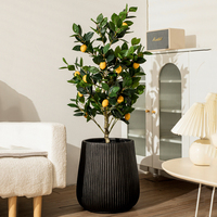 Style moderne nordique grand diamètre argile de magnésium plante verte ornement Pot de fleur pour la décoration intérieure salon