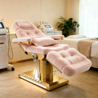 Mobilier de salon de beauté en tissu moderne touffeté Table de massage Lit à 4 moteurs électrique réglable pour le visage Lit de spa à vendre